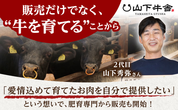 【全12回定期便】佐賀牛 赤身 スライス 500g（しゃぶしゃぶ用）【山下牛舎】 [HAD092]