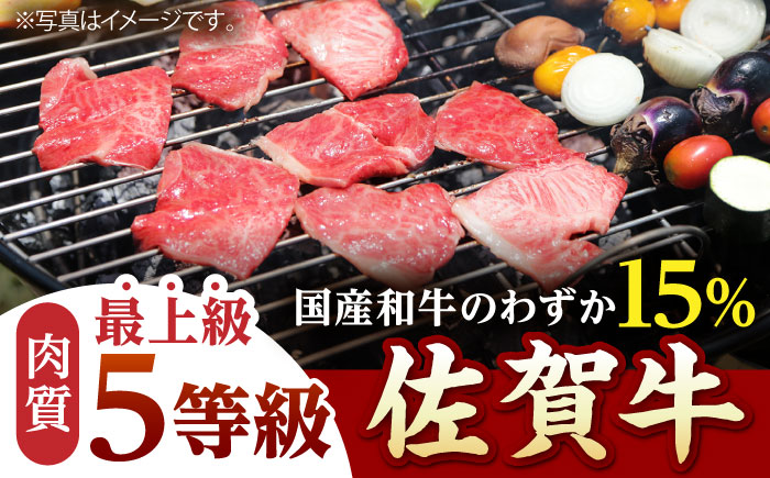 【全3回定期便】佐賀牛 赤身（モモ）400g（焼肉用）【山下牛舎】 [HAD095]