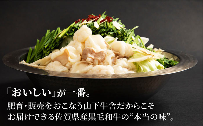 【全3回定期便】佐賀県産黒毛和牛 もつ鍋セット 2～3人前【山下牛舎】 [HAD140] 牛肉