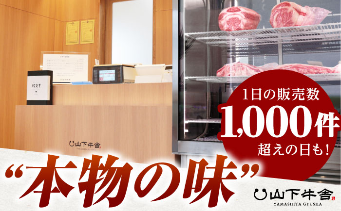 【全6回定期便】佐賀牛 切り落とし 1kg(250g×4p)【山下牛舎】 [HAD154]