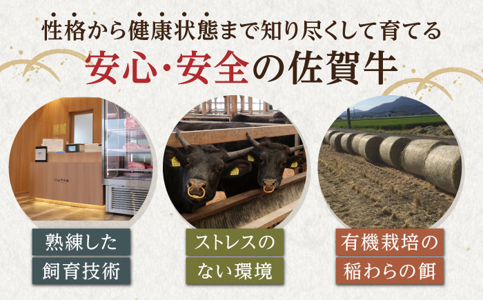 【訳あり】 佐賀牛 焼肉セット 500g 【山下牛舎】 [HAD165]