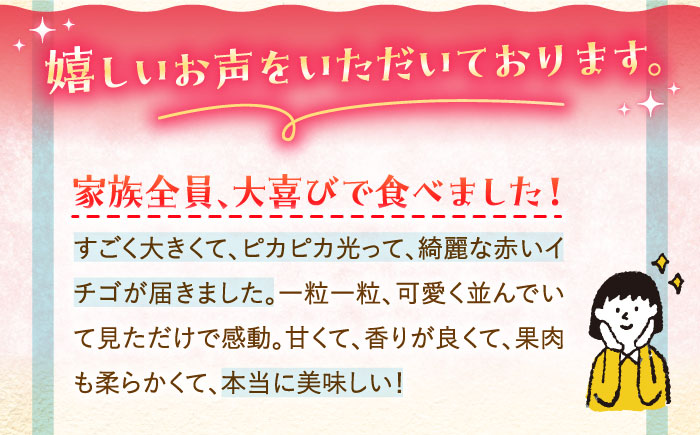 【11月下旬〜12月発送】王様のいちご さがほのか 800g（400g×2箱）【むらおか農園】[HAF002]