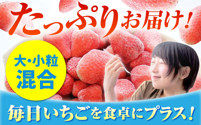 王様のいちご 摘みたてこおりいちご 2kg（冷凍いちご）いちごさん さがほのか【むらおか農園】 [HAF003]