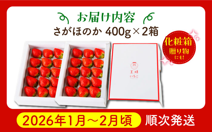 【1〜2月発送】王様のいちご さがほのか 800g（400g×2箱） 【むらおか農園】[HAF010]