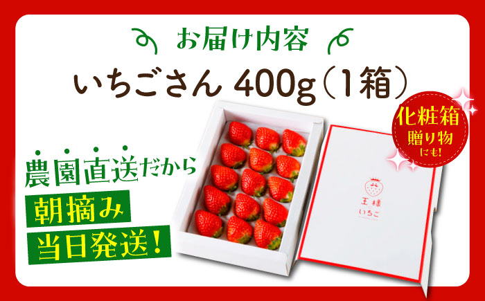【1〜2月発送】王様のいちご いちごさん 400g【むらおか農園】[HAF013]