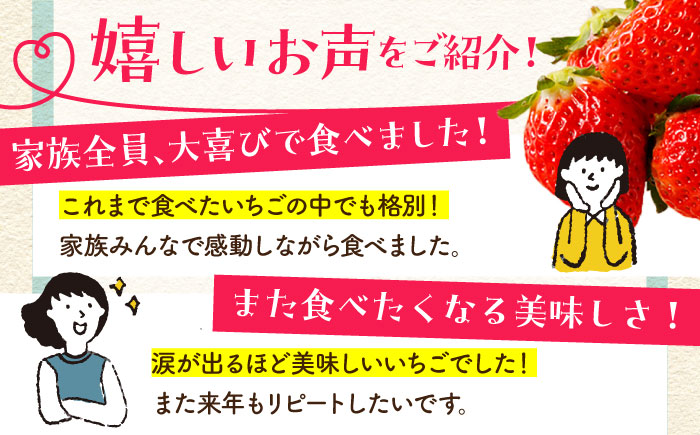 【2〜4月発送】朝摘みいちご さがほのか 1kg（250g×4パック）【むらおか農園】 [HAF024]