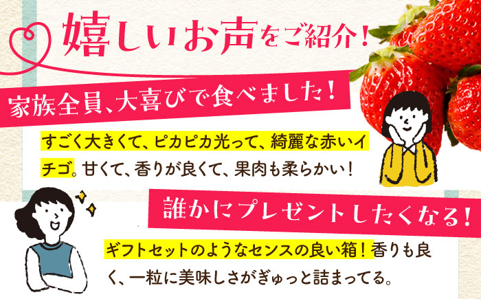 【先行予約】【全3回定期便】いちご食べ尽くし定期（さがほのか いちごさん こおりいちご）【むらおか農園】 [HAF027]