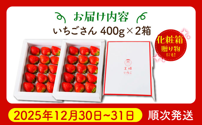 【先行予約】【年末発送】王様のいちご いちごさん 800g（400g×2箱）【むらおか農園】 [HAF028]
