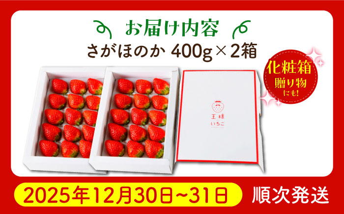 【先行予約】【年末発送】王様のいちご さがほのか 800g（400g×2箱）【むらおか農園】 [HAF029]
