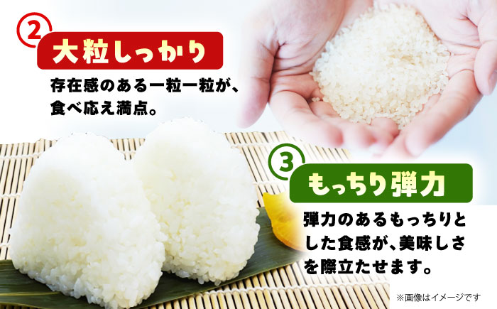 令和7年産 さがびより 精米 10kg （ 5kg×2袋 ）【佐賀県江北町産】 米 白米 [HAF031]