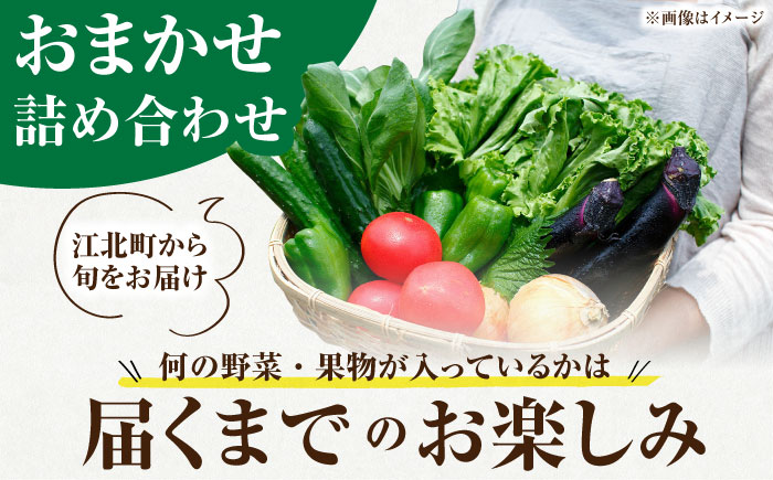 新鮮野菜・加工品 おまかせ詰め合わせ【だいちの家】 [HAG015]