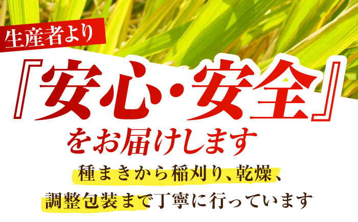 令和7年産 新米 特別栽培米「さがびより」玄米 5kg 【だいちの家】 特A米 特A評価 [HAG027]