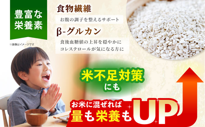 【12/23入金まで年内発送】【栽培期間中農薬不使用】麦詰合 500g×3（押麦、胚芽押麦、丸麦）【葦農】 [HAJ013] 麦