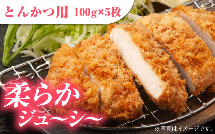 肥前さくらポーク 詰め合わせA【JAさが 杵島支所】 [HAM024] 豚肉