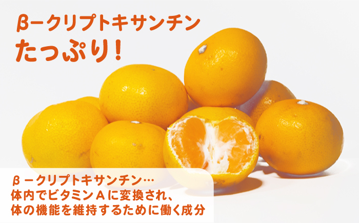 夏蜜柑様・専用ページ（3種類アチューンメント） 夏蜜柑様・専用ページ（3種類アチューンメント） 夏蜜柑様・専用ページ