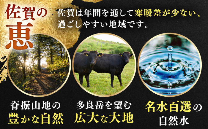 【12/15入金まで年内発送】しゃぶしゃぶ 食べくらべ セット A（佐賀牛・肥前さくらポーク）計1kg 【JAさが 杵島支所】牛肉 豚肉 [HAM075]