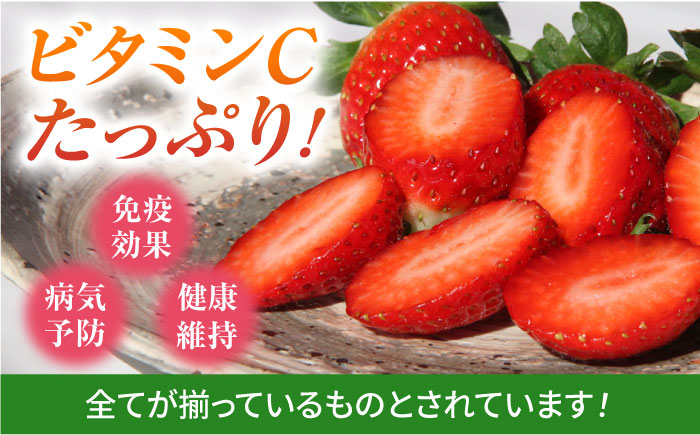 【1月～3月発送】いちごさん 240g×4パック 【JAさが 杵島支所】佐賀 [HAM087]