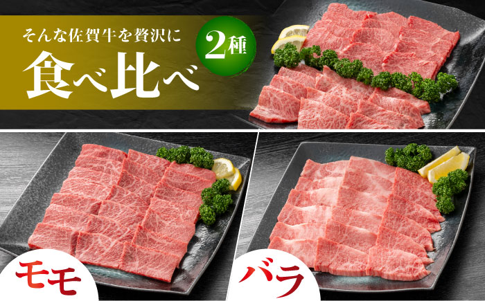 佐賀牛 焼肉セット B モモ バラ 約500g 【JAさが 杵島支所】 [HAM092]