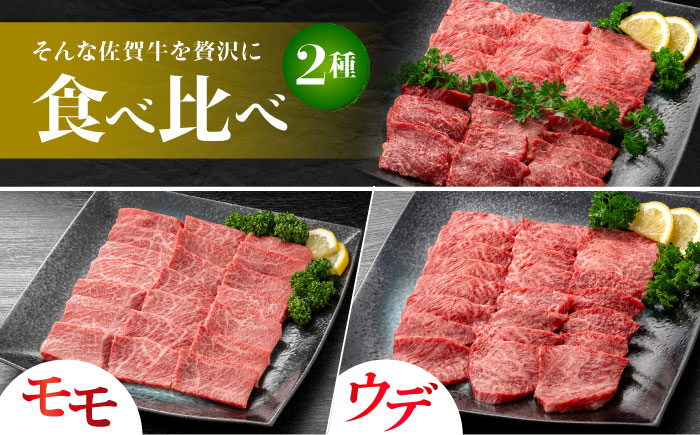 佐賀牛 焼肉セット C モモ ウデ 約500g 【JAさが 杵島支所】 [HAM093]