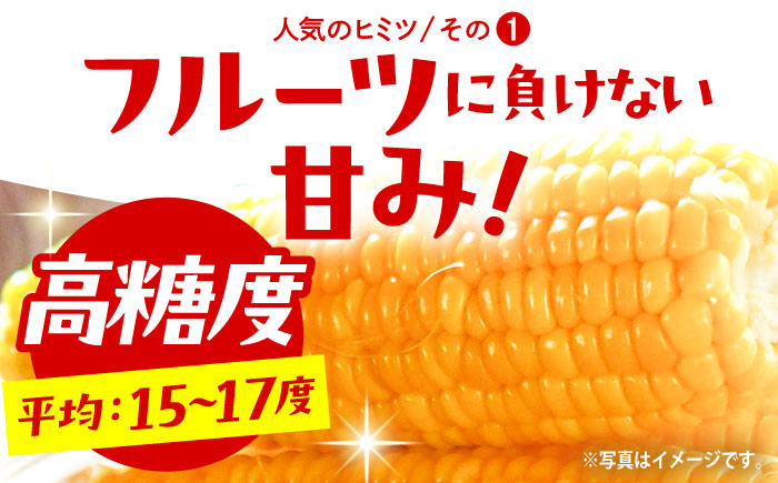 【先行予約】＜2026年6月中旬以降発送>スイートコーン ゴールドラッシュ 8本～10本【八丁屋】とうもろこし [HAO001]
