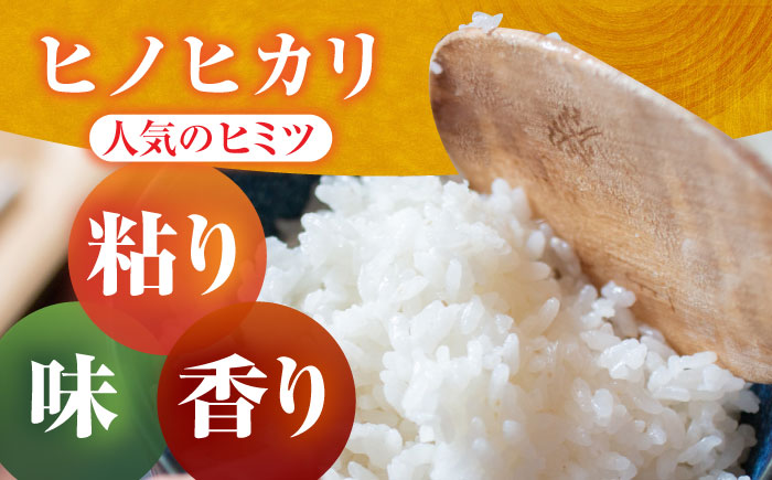 【先行予約】令和6年産 ヒノヒカリ（精米）5kg・大麦（精麦丸麦）300gのセット【かづやの農園】 [HAP016] 麦