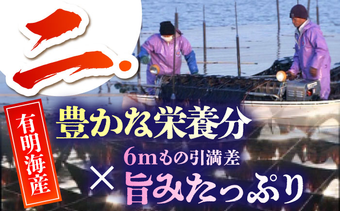 【全6回定期便】佐賀のり（焼海苔40枚）焼き海苔 佐賀海苔 [HAT022]