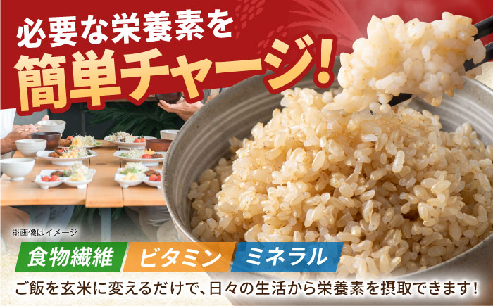 【先行予約】令和7年産 がばいうまかエガシライス（夢しずく）玄米 10kg（5kg×2袋）【江頭農園】 [HAU005]