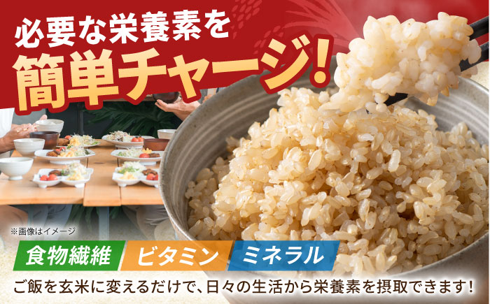 【全6回定期便】がばいうまか エガシライス（夢しずく）玄米 10kg（5kg×2袋）【江頭農園】 [HAU010]