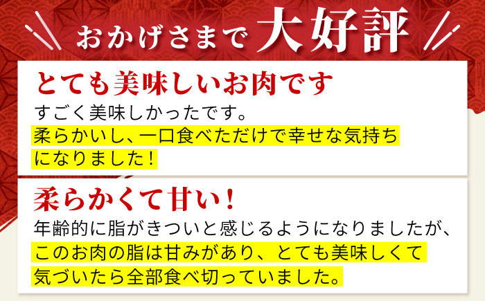 【2度の農林水産大臣賞】佐賀牛 サーロイン ステーキ 200g×1枚【田中畜産牛肉店】 [HBH007]