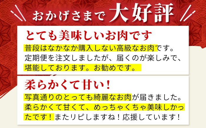 【2度の農林水産大臣賞】佐賀牛 サーロイン スライス 500g【田中畜産牛肉店】 [HBH011]
