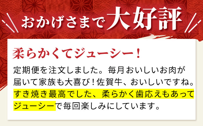【2度の農林水産大臣賞】佐賀牛 赤身スライス 300g【田中畜産牛肉店】 [HBH056]