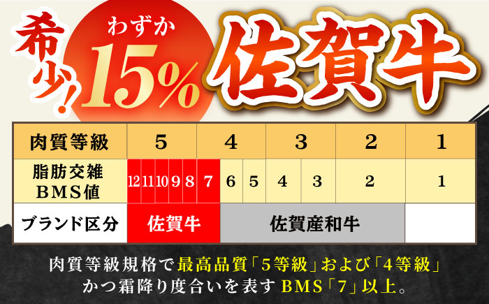 【2度の農林水産大臣賞】佐賀牛 赤身スライス 500g【田中畜産牛肉店】 [HBH057]