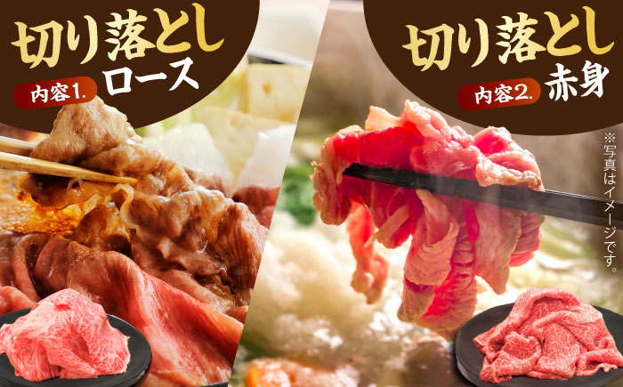 【全12回定期便】おふたりさま向け 佐賀牛 普段使いセットA【田中畜産牛肉店】 [HBH069] 牛肉