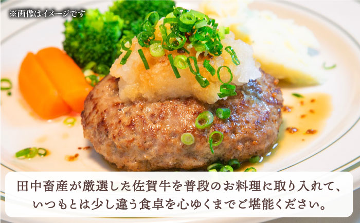 【全3回定期便】佐賀牛 ミンチ 500g【田中畜産牛肉店】 [HBH100] 牛肉