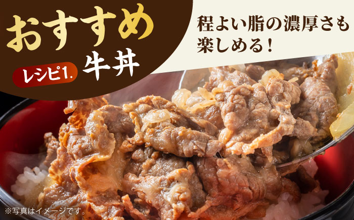 【2度の農林水産大臣賞】佐賀牛 切り落とし 500g【田中畜産牛肉店】 [HBH128]