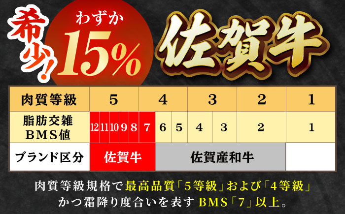 【2度の農林水産大臣賞】佐賀牛 ヒレ サイコロ ステーキ 600g【田中畜産牛肉店】 佐賀牛 黒毛和牛 希少部位 フィレ [HBH139]