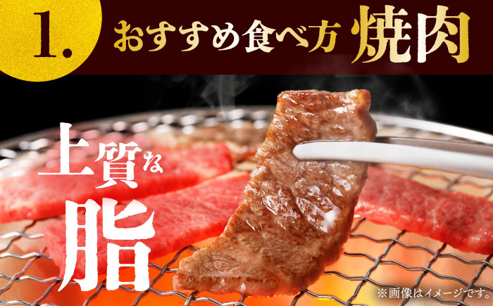 【2度の農林水産大臣賞】佐賀牛 焼肉用（カルビ・赤身） 1kg【田中畜産牛肉店】佐賀牛 牛肉 切り落とし [HBH144]