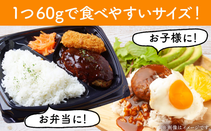 【農林水産大臣賞】佐賀牛 ハンバーグ 60g×10個 【田中畜産牛肉店】黒毛和牛 牛肉 [HBH145]