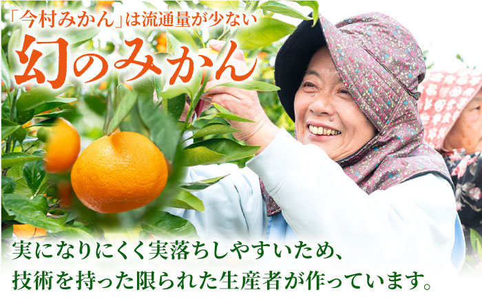【“幻のみかん”20個以上】今村みかんジュース 720ml×2本【今村みかんジュースの会】 [HBI001]