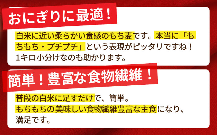 【プチプチのもち麦】キラリモチ 2kg（1kg×2袋）【大塚米穀店】 [HBL017] 麦 雑穀 雑穀米