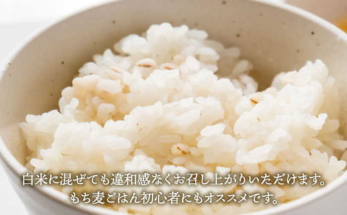 【プチプチのもち麦】キラリモチ 4kg（1kg×4袋）【大塚米穀店】 [HBL018] 麦 雑穀 雑穀米