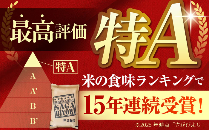 【全6回定期便】さがびより 白米 5kg 特A米 特A評価 [HBL020]