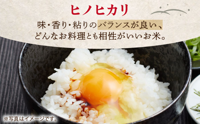 令和7年産 ヒノヒカリ 白米 5kg [HBL053]