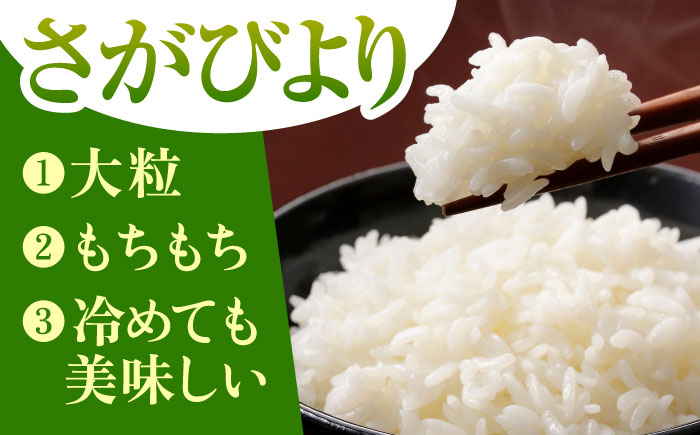 さがびより 白米 3kg（3kg×1袋）【五つ星お米マイスター厳選】特A米 特A評価 [HBL087]