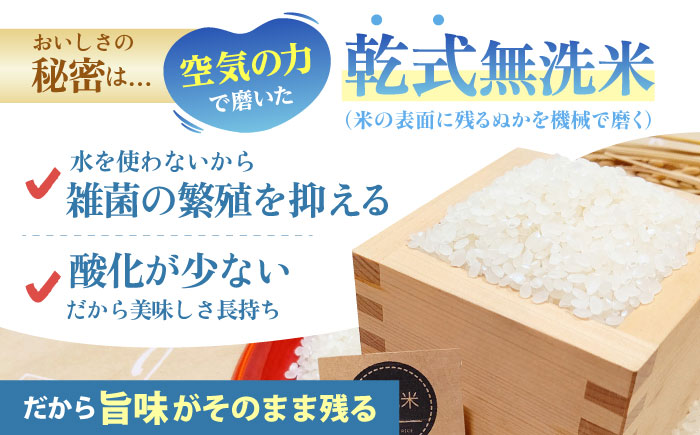 【全12回定期便】 さがびより 無洗米 3kg（3kg×1袋）【五つ星お米マイスター厳選】 特A米 特A評価 [HBL097]