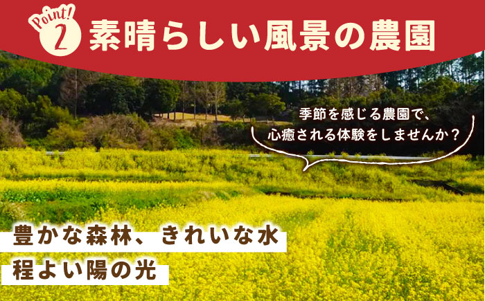 【先行予約】【五感で楽しむ】いちご狩り体験 ペアチケット【花祭いちごの谷】 [HBN002]