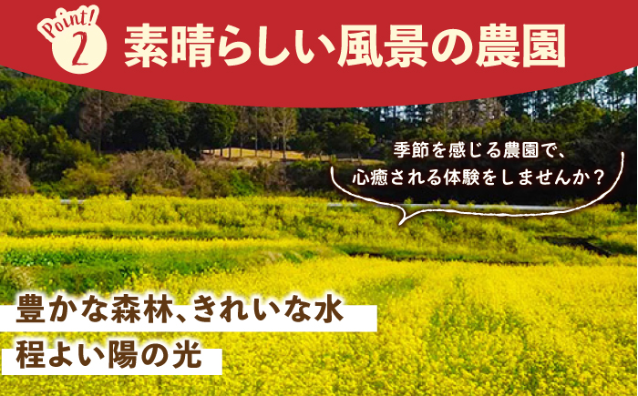 【先行予約】【五感で楽しむ】いちご狩り体験 チケット 3枚【花祭いちごの谷】 [HBN004]