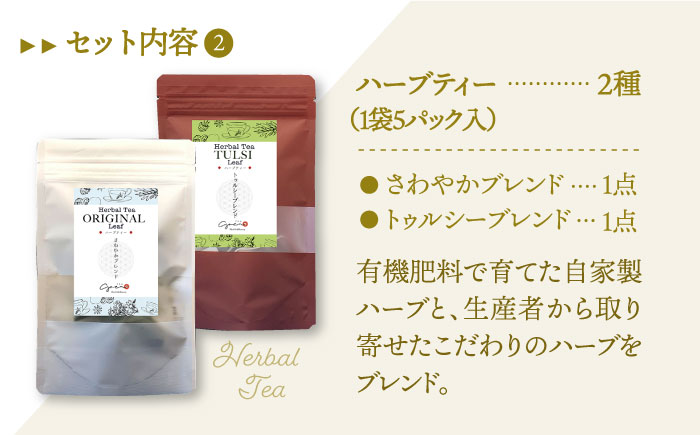 フルーツティー＆ハーブティーセット 計4袋【Goenヘルス&ビューティー】 [HBQ001]飲料 お茶