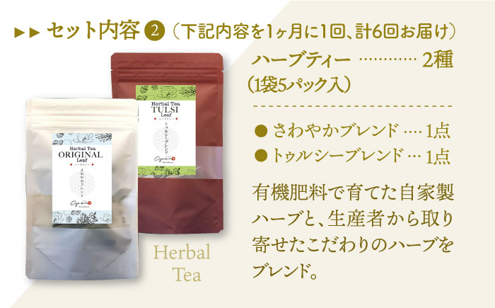 【全6回定期便】フルーツティー＆ハーブティーセット 計4袋【Goenヘルス&ビューティー】 [HBQ010]飲料 お茶