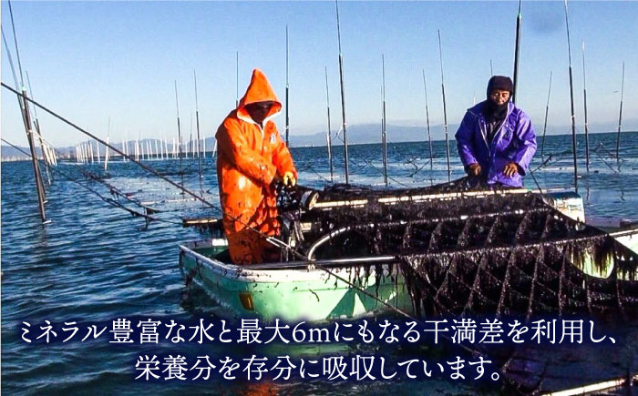 一番摘み＜有明海産＞焼き海苔〈艶〉計30枚（10枚×3袋）【八丁屋】 [HBR001]